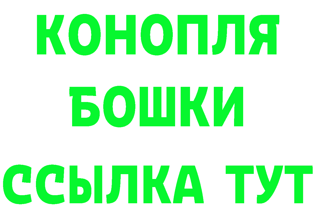 ГАШ Ice-O-Lator вход маркетплейс omg Новомичуринск